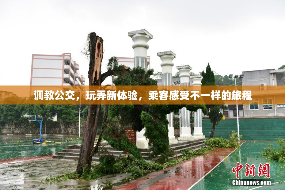 调教公交，玩弄新体验，乘客感受不一样的旅程