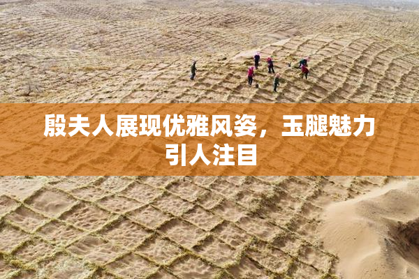 殷夫人展现优雅风姿，玉腿魅力引人注目