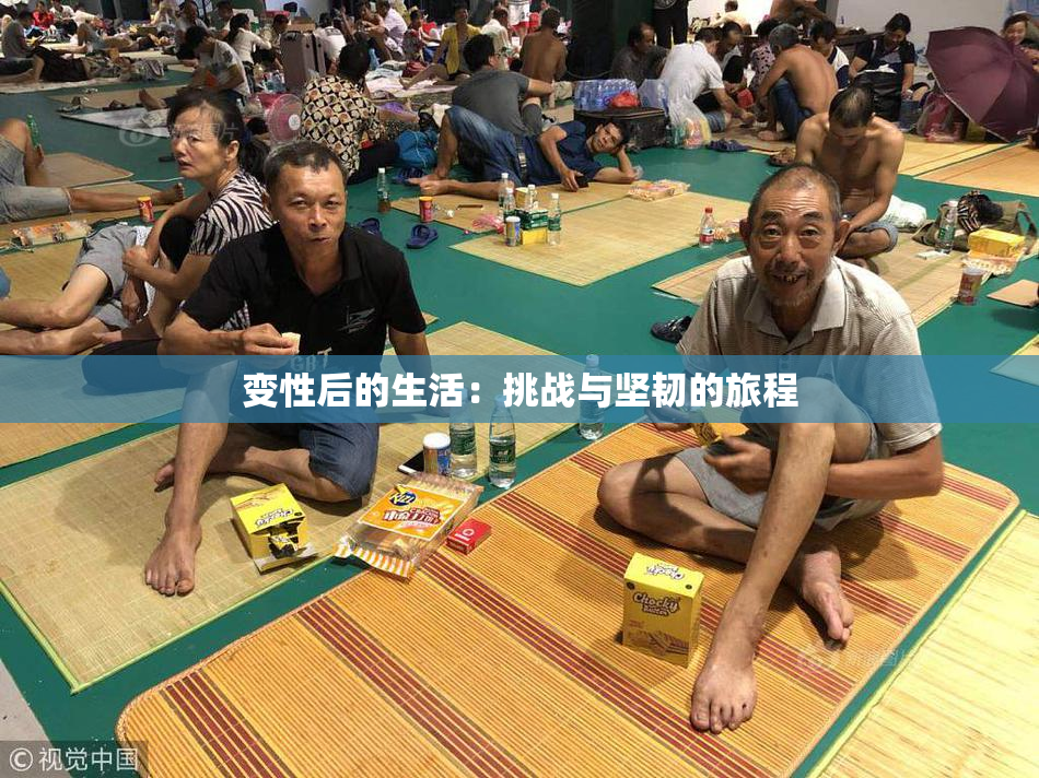 变性后的生活：挑战与坚韧的旅程