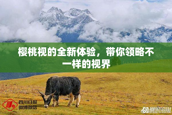 樱桃视的全新体验，带你领略不一样的视界
