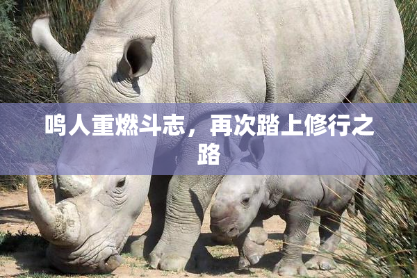 鸣人重燃斗志，再次踏上修行之路