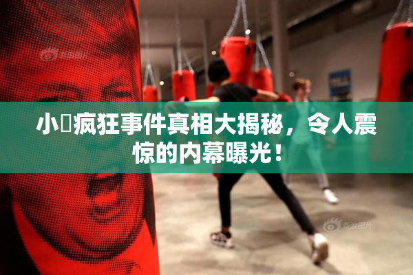 小泬疯狂事件真相大揭秘，令人震惊的内幕曝光！