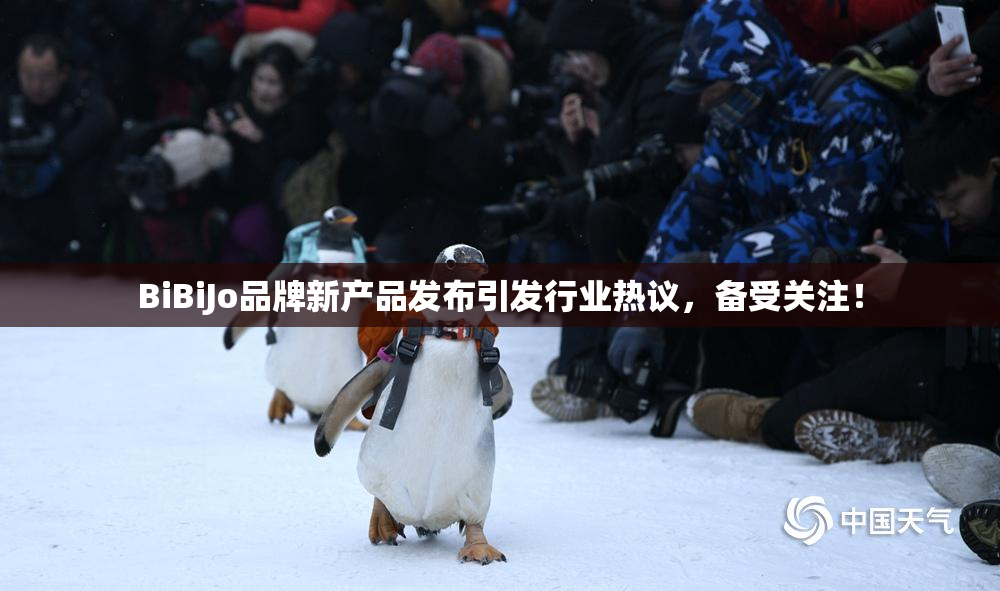BiBiJo品牌新产品发布引发行业热议，备受关注！