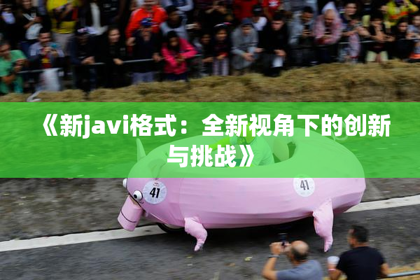 《新javi格式：全新视角下的创新与挑战》