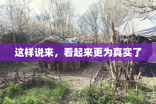 这样说来，看起来更为真实了