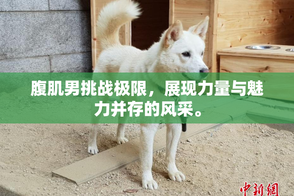 腹肌男挑战极限，展现力量与魅力并存的风采。