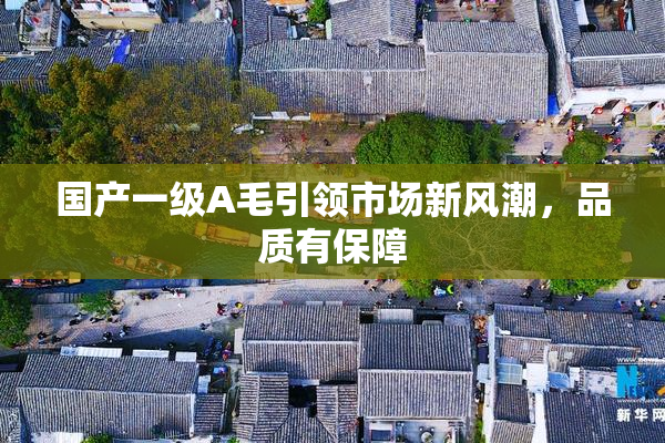 国产一级A毛引领市场新风潮，品质有保障