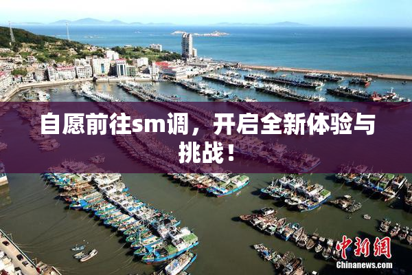 自愿前往sm调，开启全新体验与挑战！