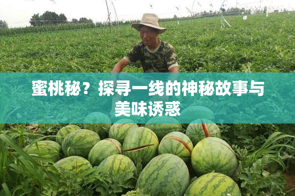 蜜桃秘？探寻一线的神秘故事与美味诱惑