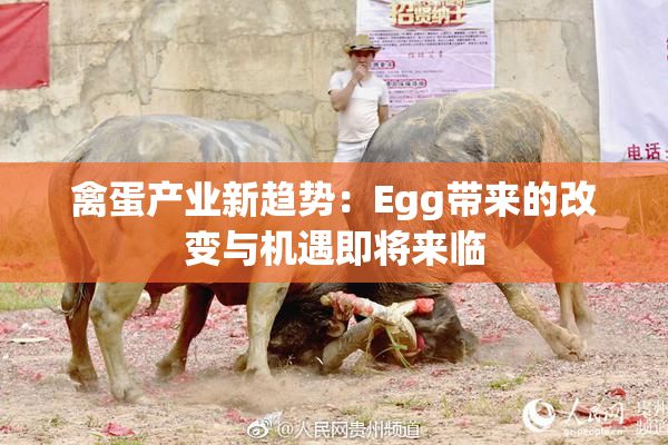 禽蛋产业新趋势：Egg带来的改变与机遇即将来临