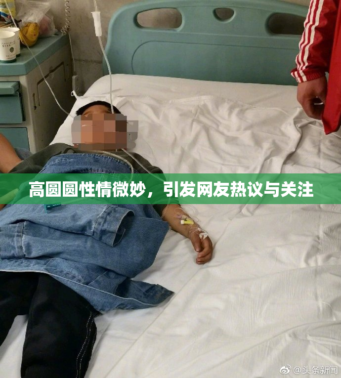 高圆圆性情微妙，引发网友热议与关注