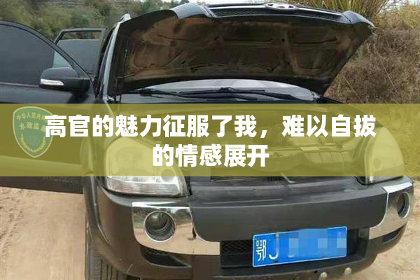 高官的魅力征服了我，难以自拔的情感展开