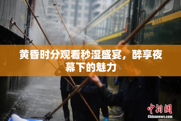 黄昏时分观看秒湿盛宴，醉享夜幕下的魅力