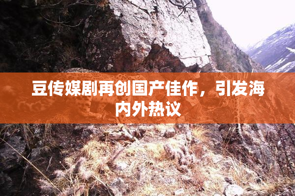 豆传媒剧再创国产佳作，引发海内外热议