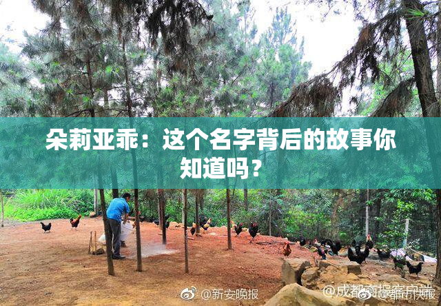 朵莉亚乖：这个名字背后的故事你知道吗？