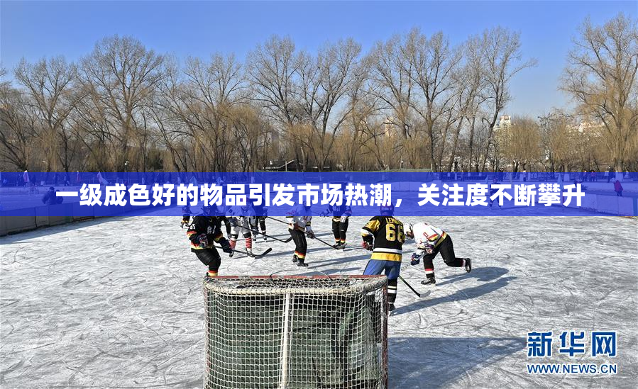 一级成色好的物品引发市场热潮，关注度不断攀升
