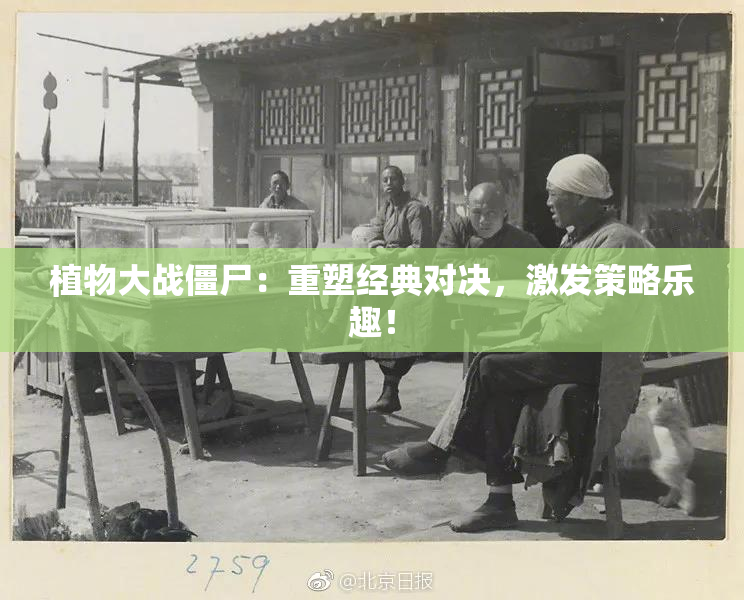 植物大战僵尸：重塑经典对决，激发策略乐趣！