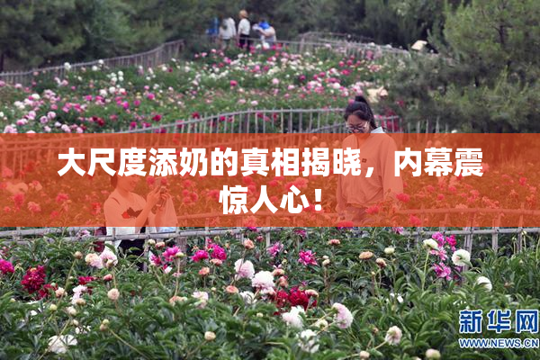 大尺度添奶的真相揭晓，内幕震惊人心！