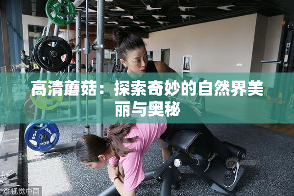 高清蘑菇：探索奇妙的自然界美丽与奥秘