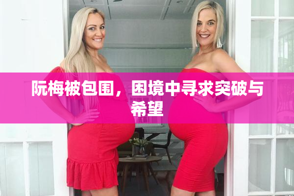 阮梅被包围，困境中寻求突破与希望