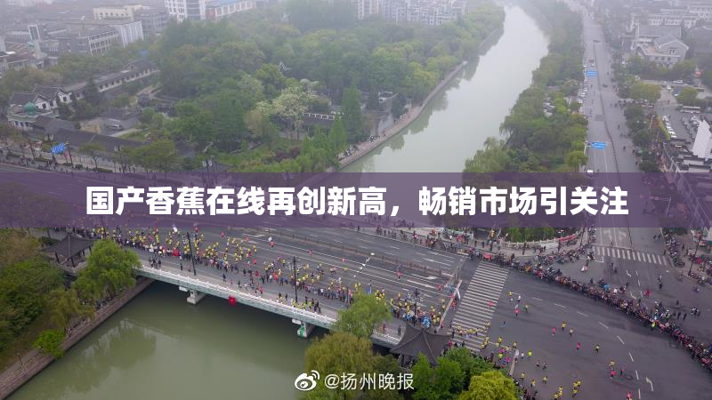 国产香蕉在线再创新高，畅销市场引关注
