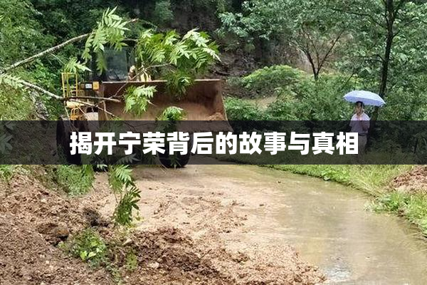 揭开宁荣背后的故事与真相
