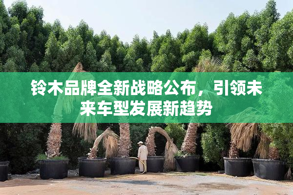 铃木品牌全新战略公布，引领未来车型发展新趋势