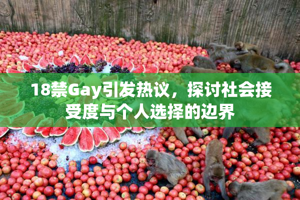 18禁Gay引发热议，探讨社会接受度与个人选择的边界