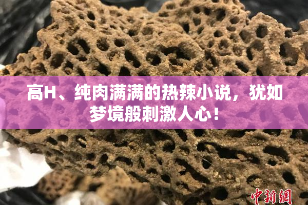 高H、纯肉满满的热辣小说，犹如梦境般刺激人心！