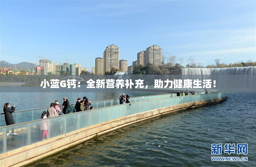 小蓝G钙：全新营养补充，助力健康生活！
