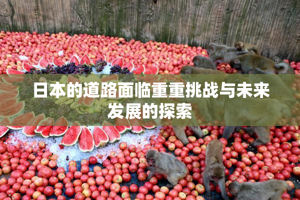 日本的道路面临重重挑战与未来发展的探索
