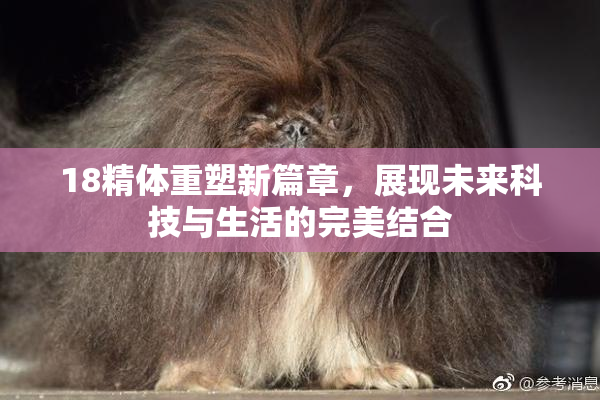 18精体重塑新篇章，展现未来科技与生活的完美结合