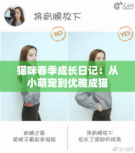 猫咪春季成长日记：从小萌宠到优雅成猫