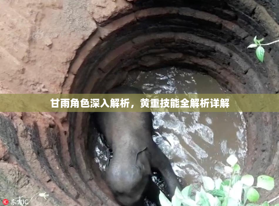 甘雨角色深入解析，黄重技能全解析详解