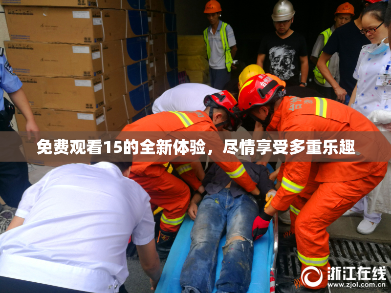 免费观看15的全新体验，尽情享受多重乐趣