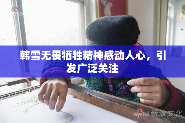 韩雪无畏牺牲精神感动人心，引发广泛关注