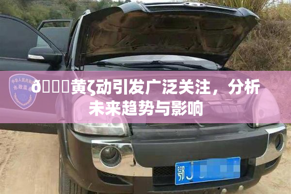 🔞黄ζ动引发广泛关注，分析未来趋势与影响