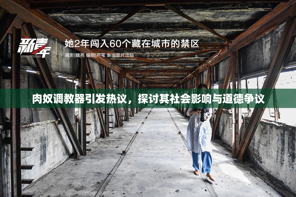 肉奴调教器引发热议，探讨其社会影响与道德争议