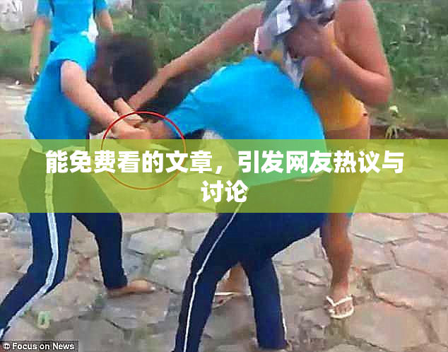 能免费看的文章，引发网友热议与讨论