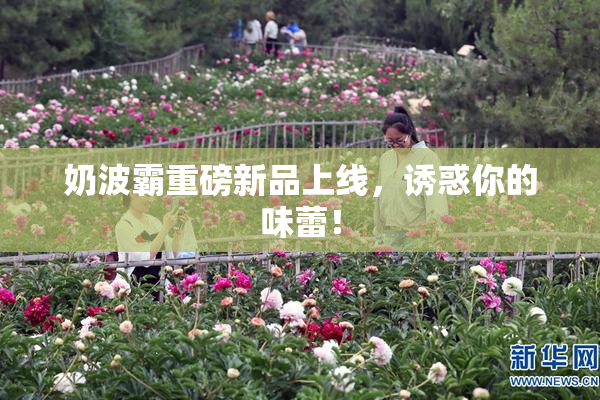 奶波霸重磅新品上线，诱惑你的味蕾！