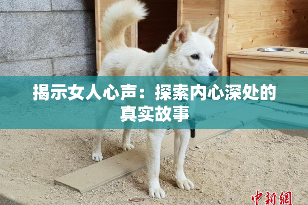 揭示女人心声：探索内心深处的真实故事