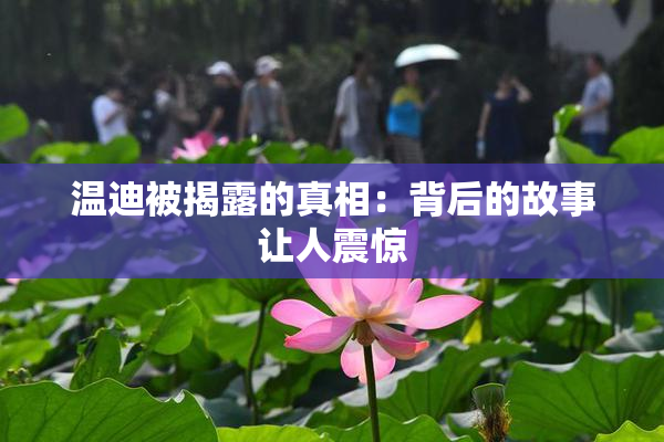 温迪被揭露的真相：背后的故事让人震惊