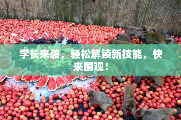 学长来袭，轻松解锁新技能，快来围观！