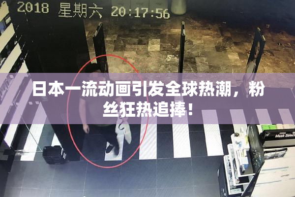 日本一流动画引发全球热潮，粉丝狂热追捧！