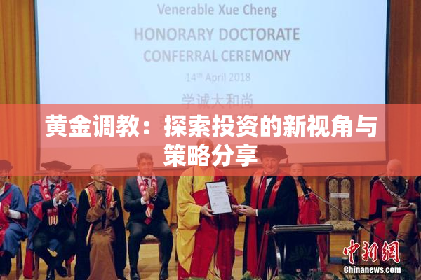 黄金调教：探索投资的新视角与策略分享