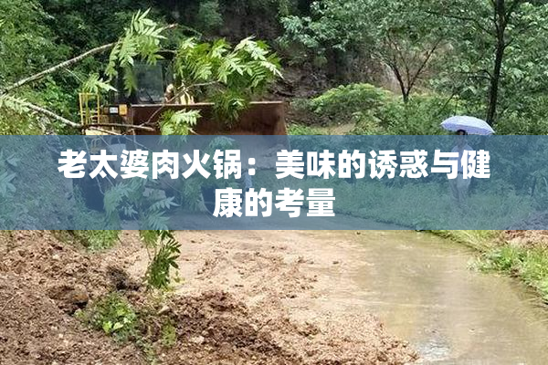 老太婆肉火锅：美味的诱惑与健康的考量