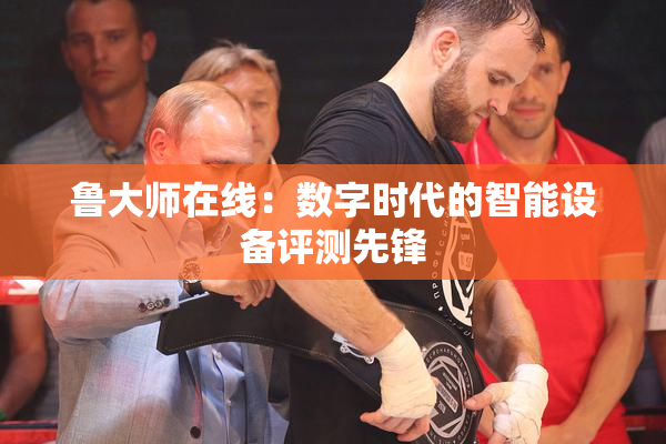 鲁大师在线：数字时代的智能设备评测先锋