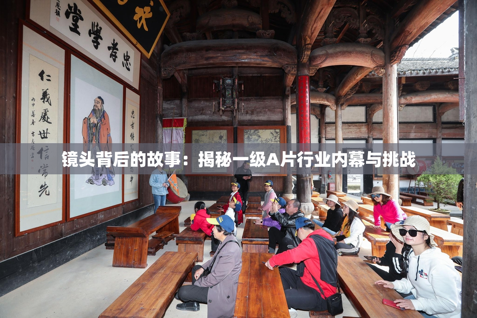 镜头背后的故事：揭秘一级A片行业内幕与挑战