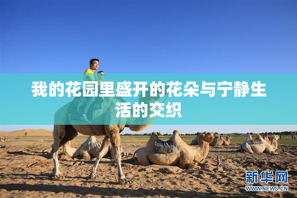 我的花园里盛开的花朵与宁静生活的交织