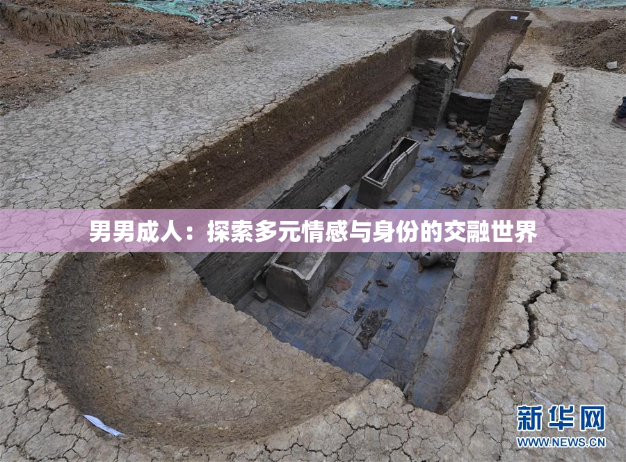 男男成人：探索多元情感与身份的交融世界
